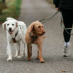 Non-stop Dogwear Trail Quest Rachel Pohl Hundkoppel 15 mm x 2 m Brun