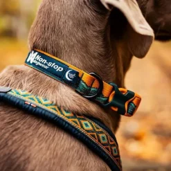 Non-stop Dogwear Trail Quest Rachel Pohl Hundhalsband Brun