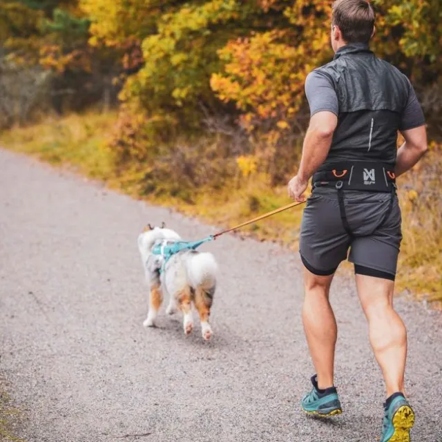 Non-stop Dogwear Trekking Hundförarbälte 2.0 Svart