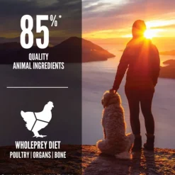Orijen Dog Senior