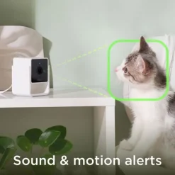 PetCube Cam Husdjurskamera med Ljud