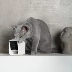 PetCube Cam Husdjurskamera med Ljud