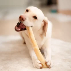 POCCA European Bone Nöt Tuggrulle 37 cm