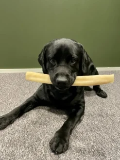 POCCA European Bone Nöt Tuggrulle 37 cm