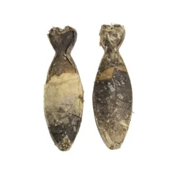 POCCA European Bone Torsk 18 cm 2-pack