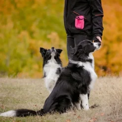 Pro Dog Godispåse