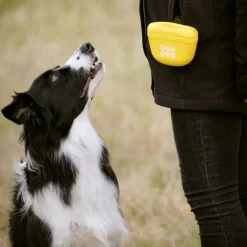 Pro Dog Godisväska i Silikon Gul