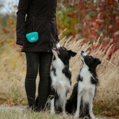Pro Dog Godisväska i Silikon Turkos