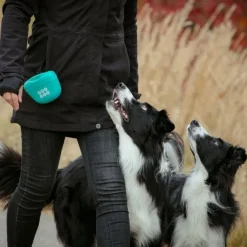 Pro Dog Godisväska i Silikon Turkos
