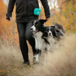 Pro Dog Godisväska i Silikon Turkos