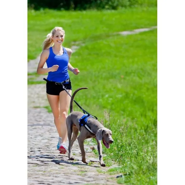 Pro Dog Joggingbälte med lina
