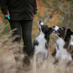 Pro Dog Whizzclick Visselpipa/Klicker Mintgrön