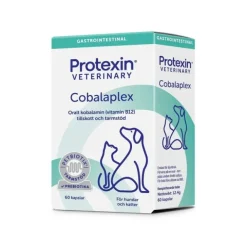 Protexin Cobalaplex till Hund & Katt 60 kapslar