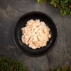 Purenatural Cat Adult Chicken Fillet with Salmon 70 g