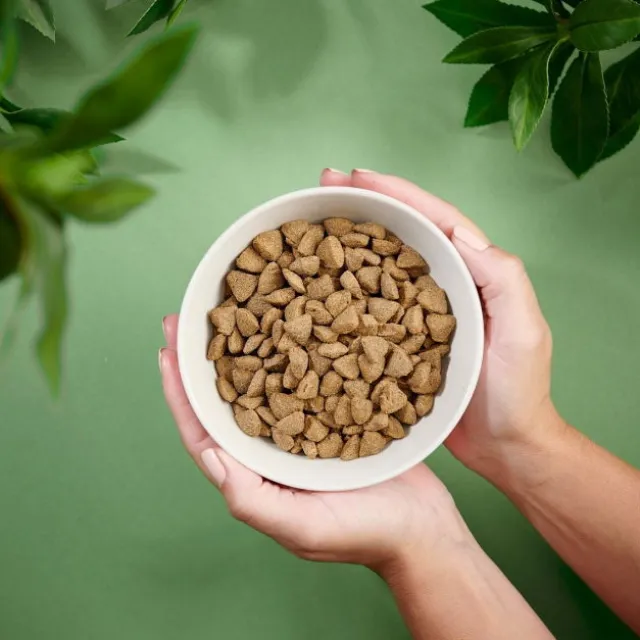 Purenatural Dog Adult Sensitive Salmon
