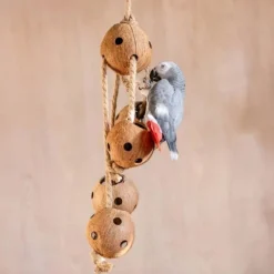 Quapas! Fågelleksak Kokosnötter på Rep