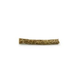RAUH! Nöt Crunchy Stick