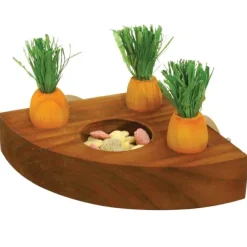 Rosewood Toy 'n' Treat Bricka med Morötter till Smådjur