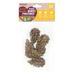 Rosewood Veggie Burst Kottar 6-pack