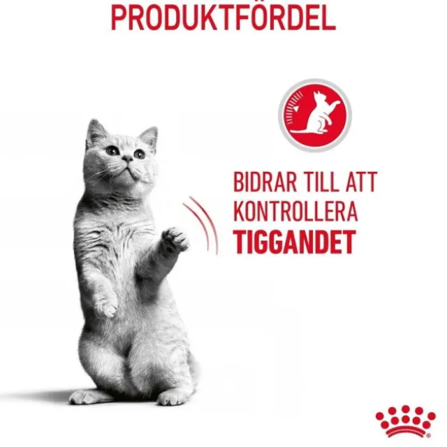 Royal Canin Appetite Control Care Adult torrfoder för katt