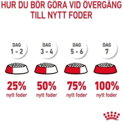 Royal Canin Appetite Control Care Adult torrfoder för katt