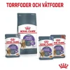 Royal Canin Appetite Control Care Gravy Adult våtfoder för katt 12x85 g
