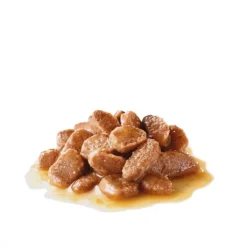 Royal Canin Appetite Control Care Gravy Adult våtfoder för katt 12x85 g