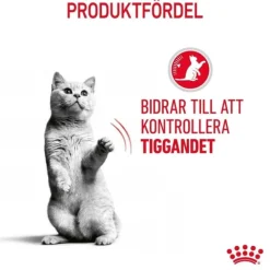 Royal Canin Appetite Control Care Gravy Adult våtfoder för katt 12x85 g