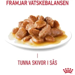 Royal Canin Appetite Control Care Gravy Adult våtfoder för katt 12x85 g