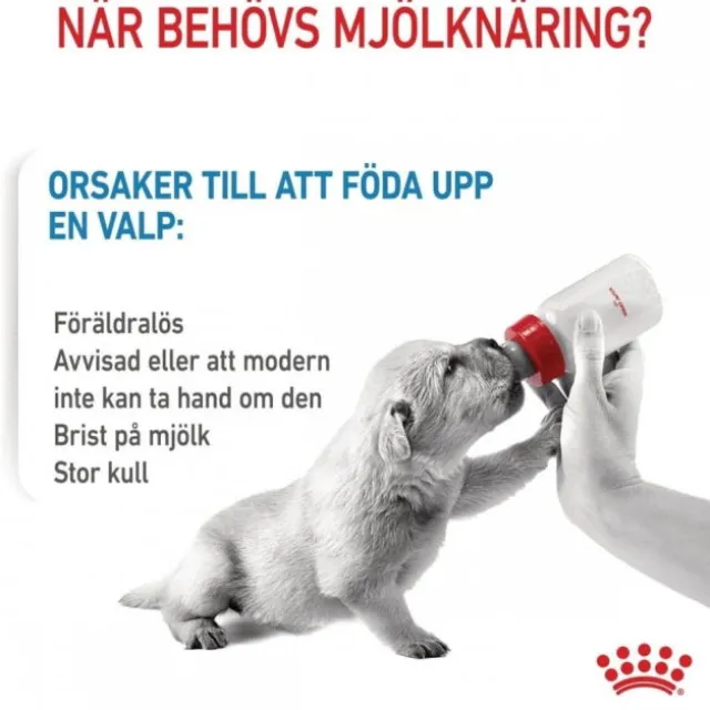 Royal Canin Babydog Milk mjölk för hundvalp