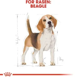 Royal Canin Beagle Adult torrfoder för hund