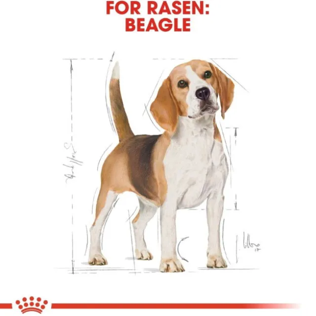 Royal Canin Beagle Adult torrfoder för hund