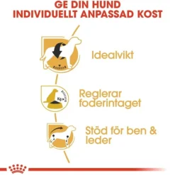 Royal Canin Beagle Adult torrfoder för hund