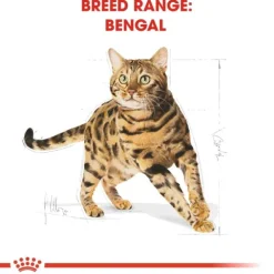 Royal Canin Bengal Adult torrfoder för katt