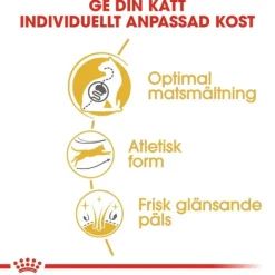 Royal Canin Bengal Adult torrfoder för katt