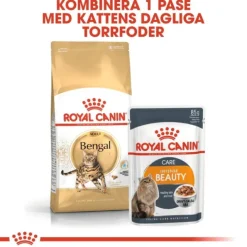 Royal Canin Bengal Adult torrfoder för katt