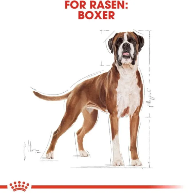 Royal Canin Boxer Adult torrfoder för hund