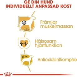 Royal Canin Boxer Adult torrfoder för hund