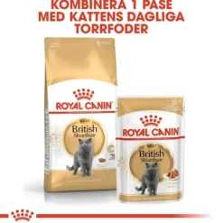 Royal Canin British Shorthair Adult torrfoder för katt