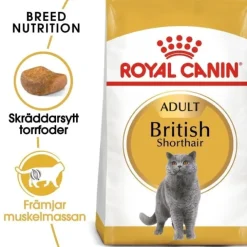 Royal Canin British Shorthair Adult torrfoder för katt