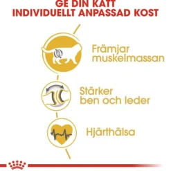 Royal Canin British Shorthair Adult torrfoder för katt