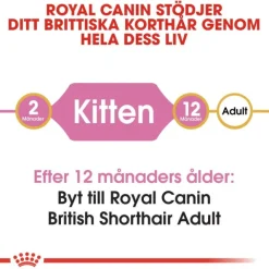 Royal Canin British Shorthair Kitten torrfoder för kattunge