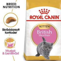 Royal Canin British Shorthair Kitten torrfoder för kattunge