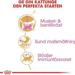 Royal Canin British Shorthair Kitten torrfoder för kattunge