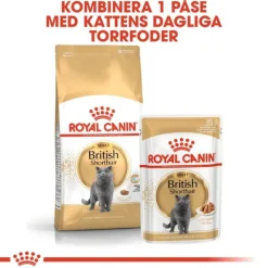 Royal Canin British Shorthair Adult Gravy våtfoder för katt 12 x 85 g