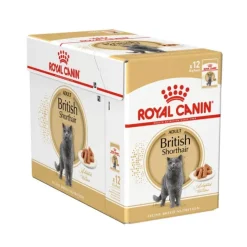 Royal Canin British Shorthair Adult Gravy våtfoder för katt 12 x 85 g