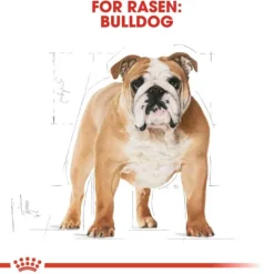 Royal Canin Bulldog Adult torrfoder för hund