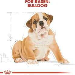 Royal Canin Bulldog Puppy torrfoder för hundvalp