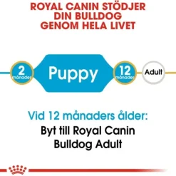 Royal Canin Bulldog Puppy torrfoder för hundvalp