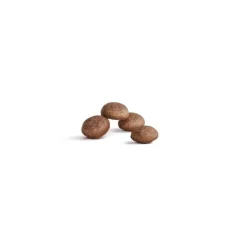 Royal Canin Cat Ageing 15+